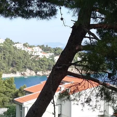 Nemira Omis
